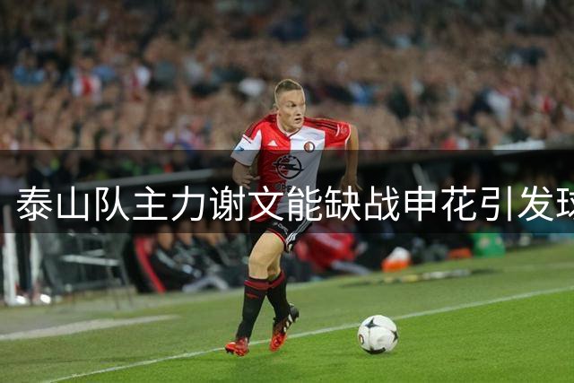泰山队主力谢文能缺战申花引发球迷惋惜